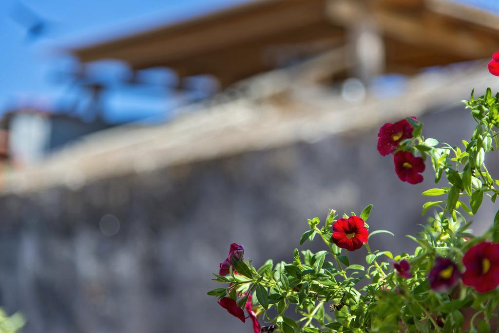 Fagotto Art Residences Chania  Exterior photo